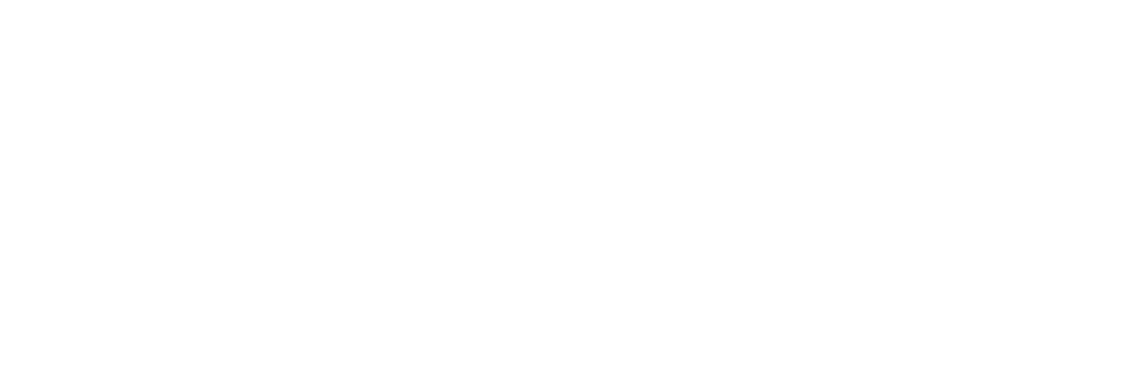 Alpine Infrastructure Partners