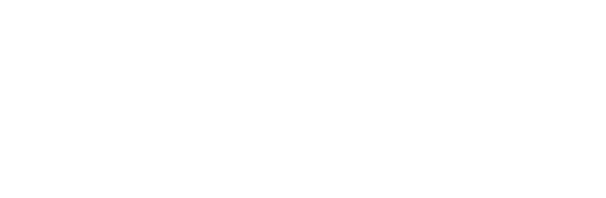 Alpine Infrastructure Partners
